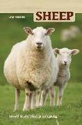 Front Cover Image Sheep