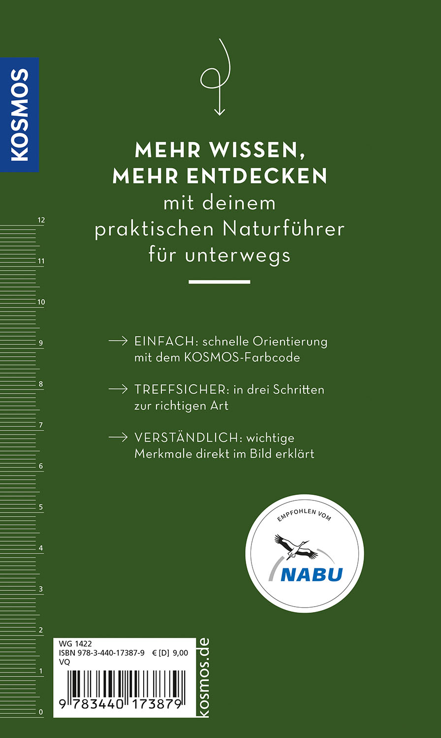Back Cover Image BASIC Pilze