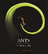 Front Cover Image Ants