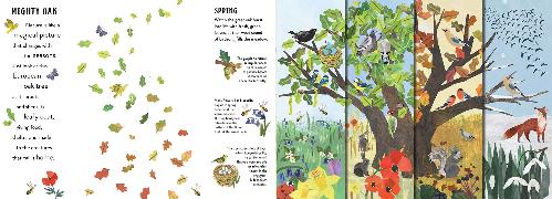 Sample Content (Image) Seasons