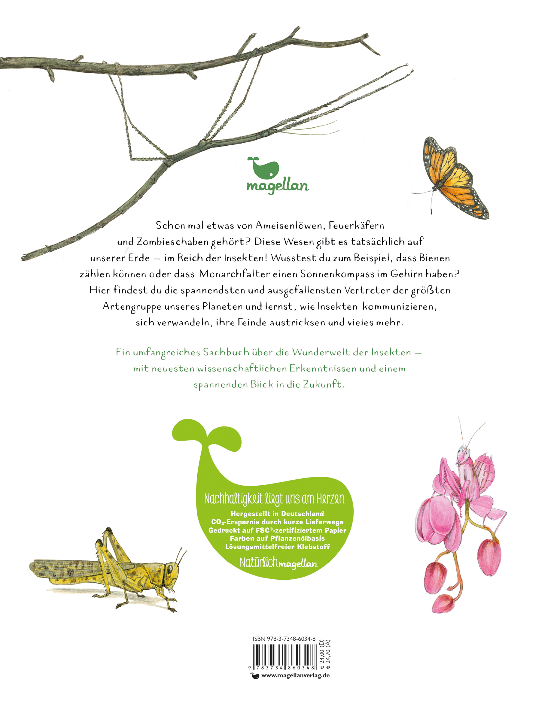 Back Cover Image Insekten - Kleine Lebewesen, große Vielfalt