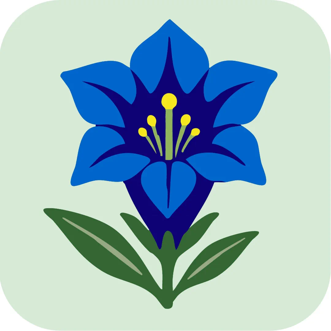 Front Cover Image Flora Helvetica App-Abo