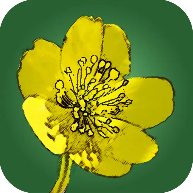 Front Cover Image Feldbotanik App
