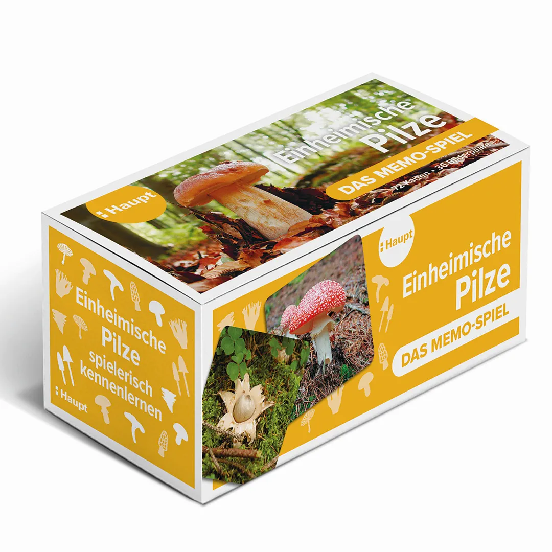 Back Cover Image Einheimische Pilze – das Memo-Spiel