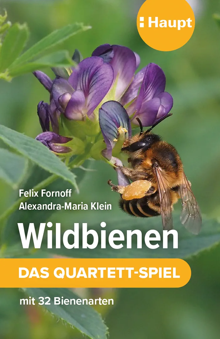 Front Cover Image Wildbienen – das Quartett-Spiel
