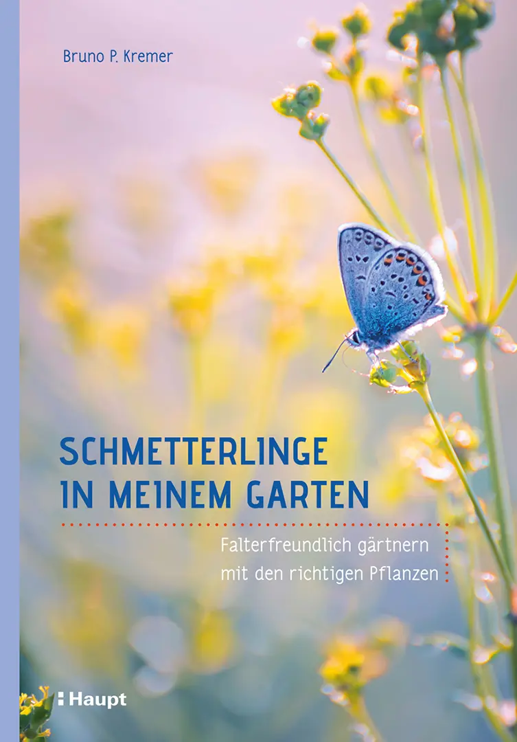 Front Cover Image Schmetterlinge in meinem Garten
