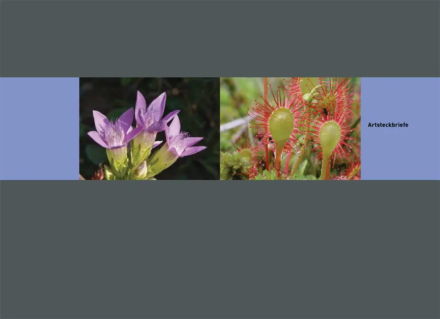 Sample Content (Image) Flora des Kantons Zürich