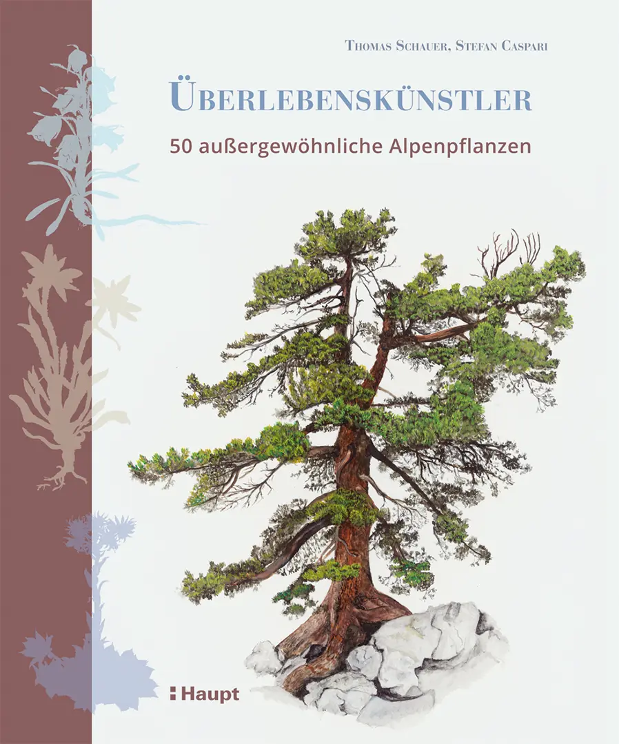 Front Cover Image Überlebenskünstler