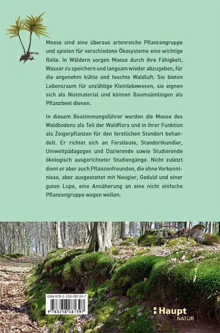 Sample Content (Image) Moose des Waldbodens