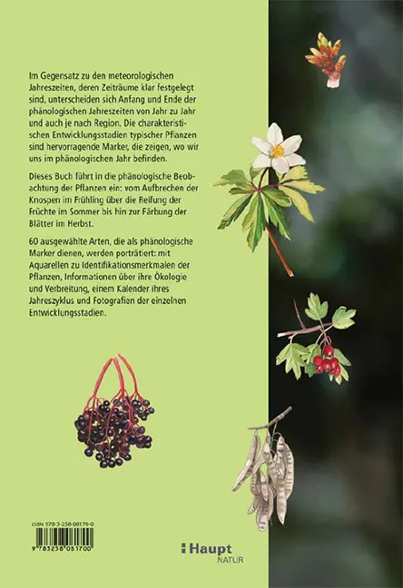 Sample Content (Image) Pflanzen im Rhythmus der Jahreszeiten beobachten
