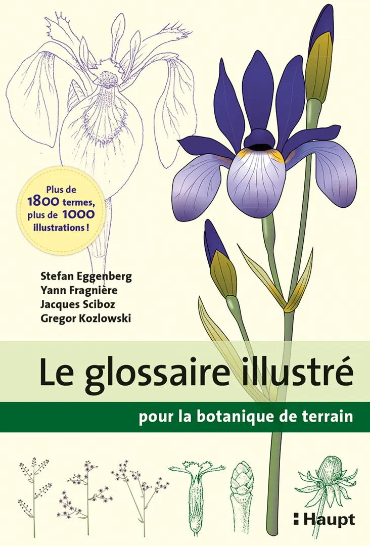 Front Cover Image Le glossaire illustré pour la botanique de terrain