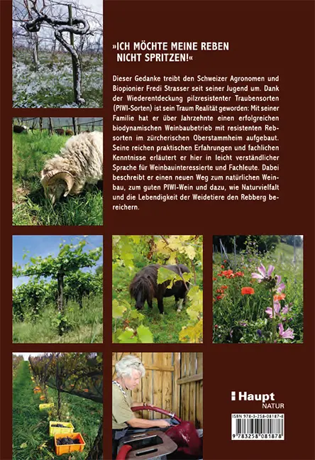 Sample Content (Image) Pilzresistente Traubensorten