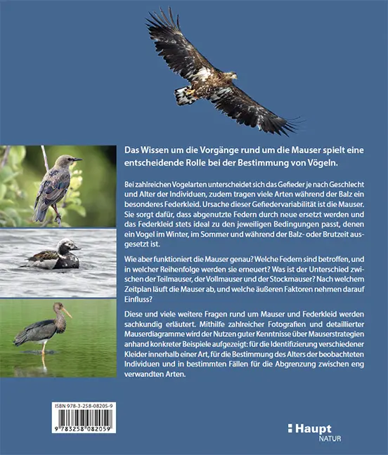 Back Cover Image Die Mauser