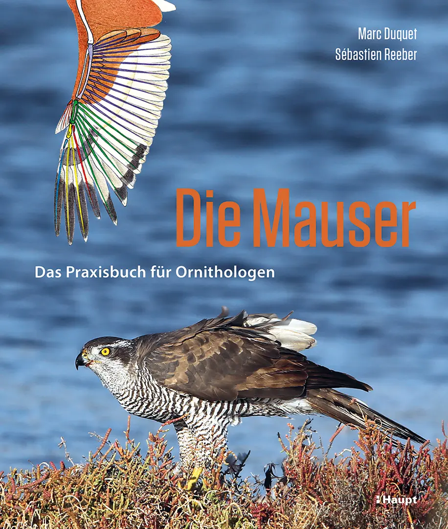 Front Cover Image Die Mauser