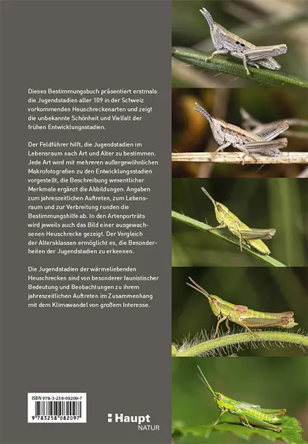 Back Cover Image Jugendstadien der Heuschrecken der Schweiz
