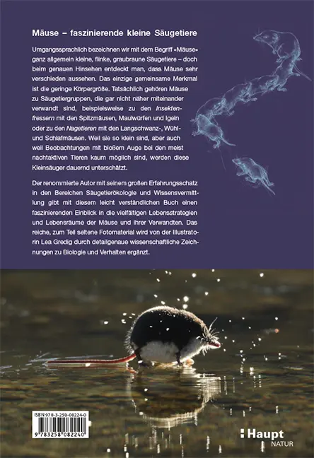 Back Cover Image Die Mäuse und ihre Verwandten