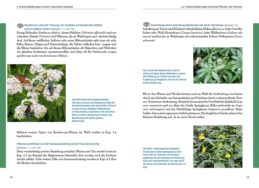 Sample Content (Image) Symbiosen in unseren Wiesen, Wäldern und Mooren