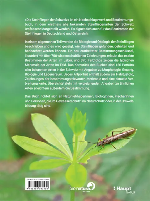 Back Cover Image Die Steinfliegen der Schweiz