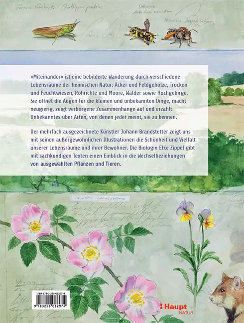 Back Cover Image Miteinander