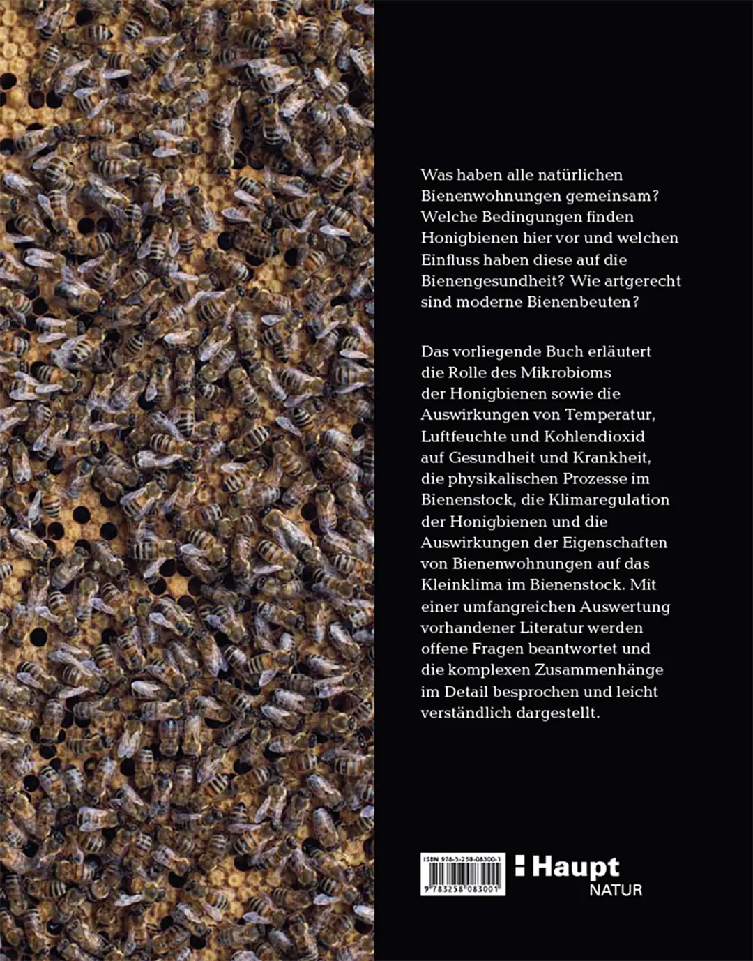 Back Cover Image Bienenbau und Bienenbeute