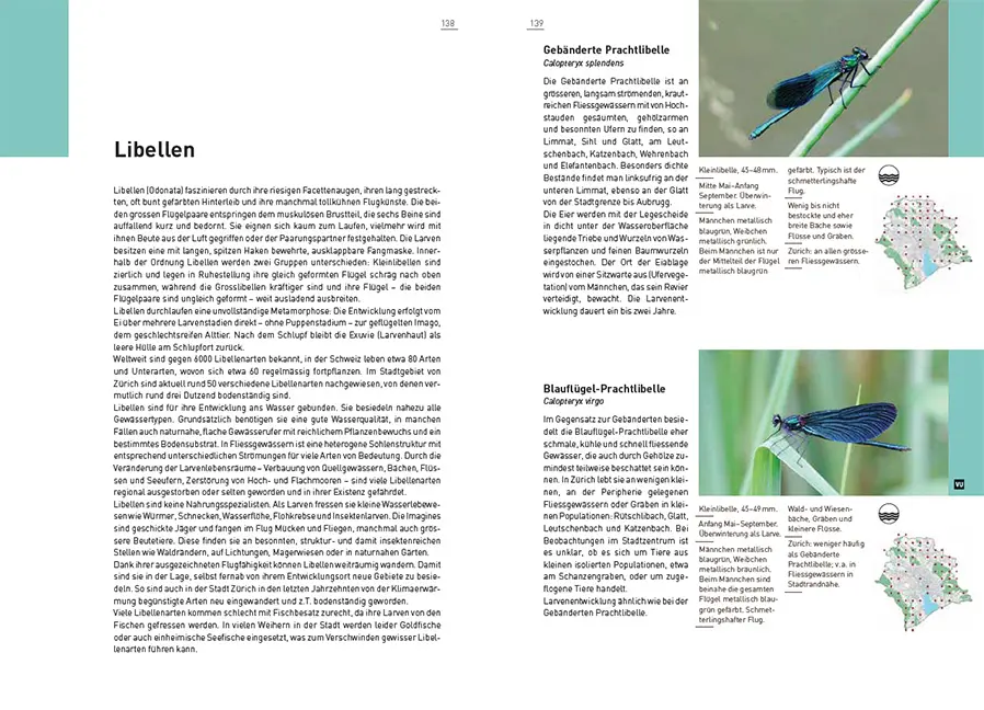 Sample Content (Image) Neue Stadtfauna