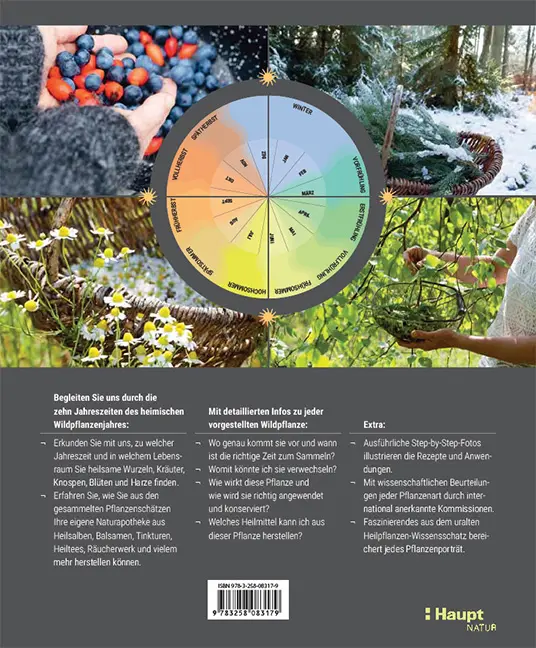 Sample Content (Image) Heilsame Wildpflanzen