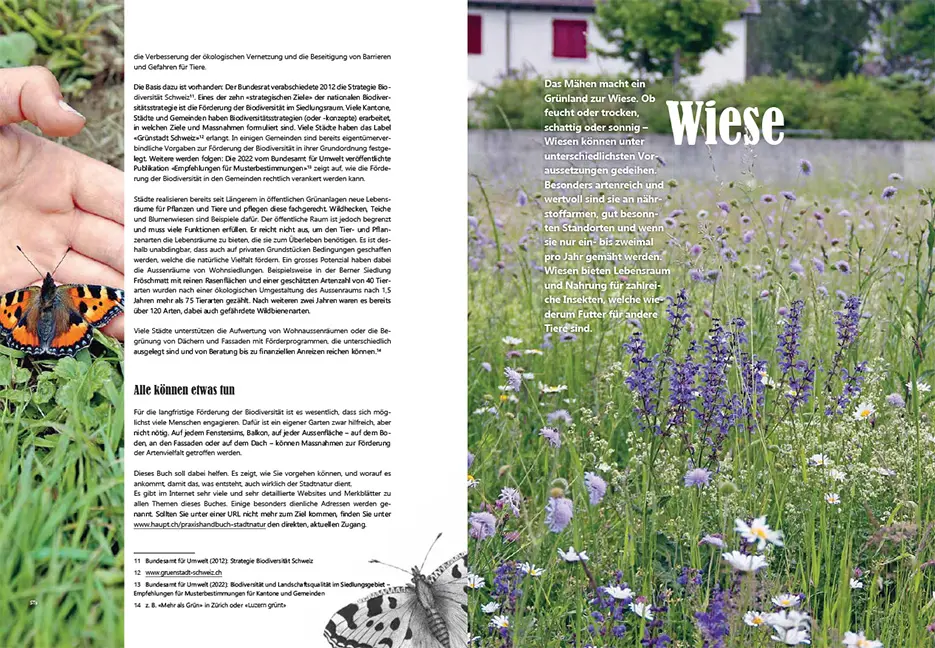 Sample Content (Image) Praxishandbuch Stadtnatur