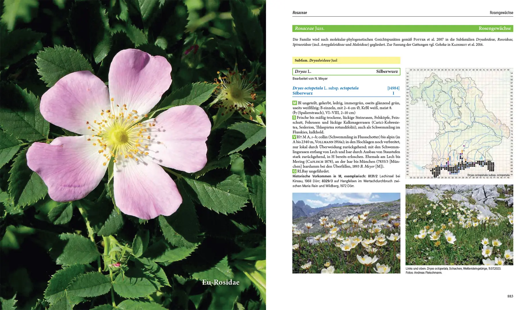 Sample Content (Image) Flora von Bayern