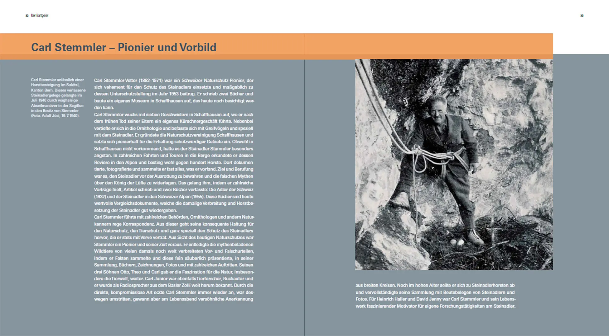 Sample Content (Image) Der Steinadler