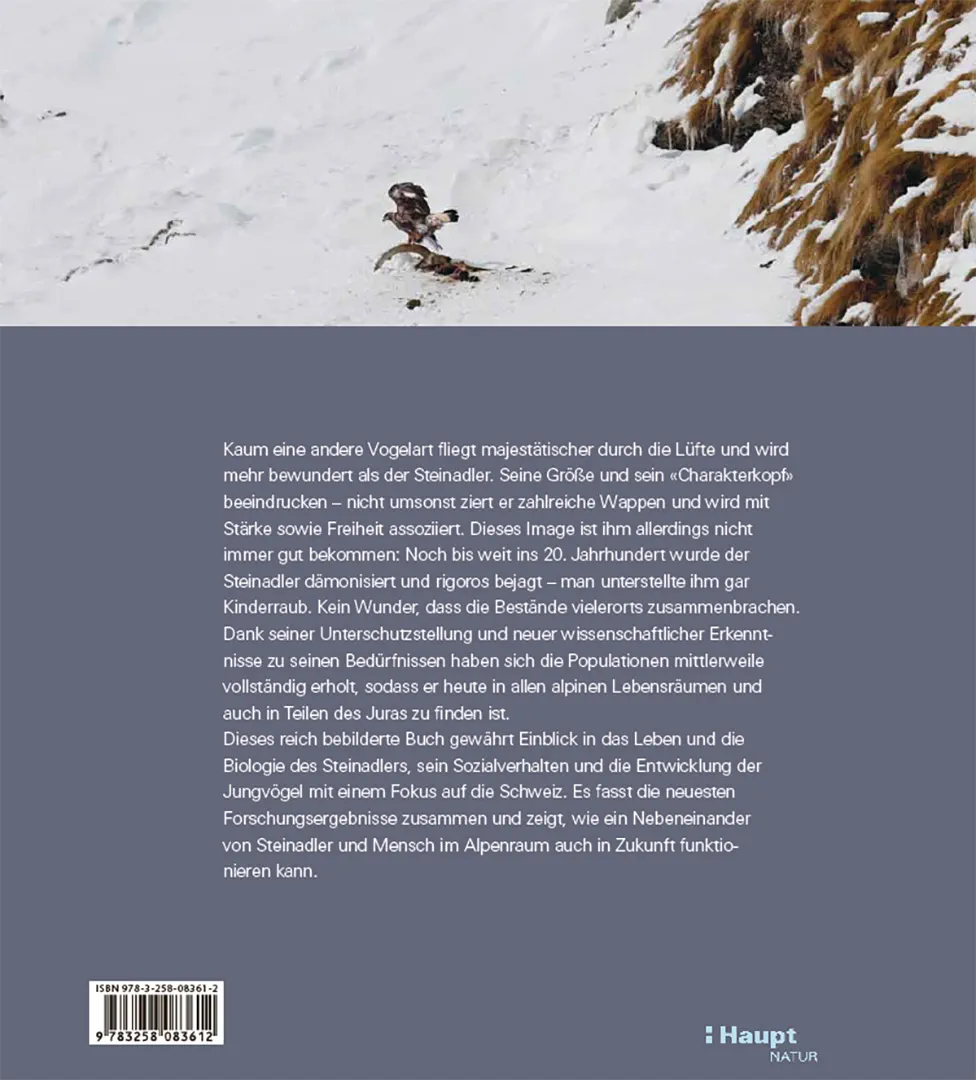 Sample Content (Image) Der Steinadler