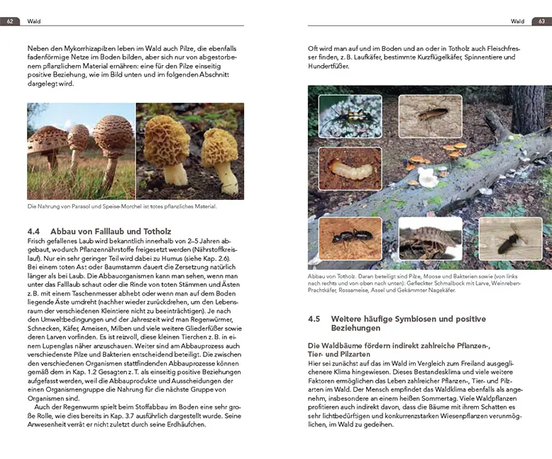 Sample Content (Image) Symbiosen beobachten