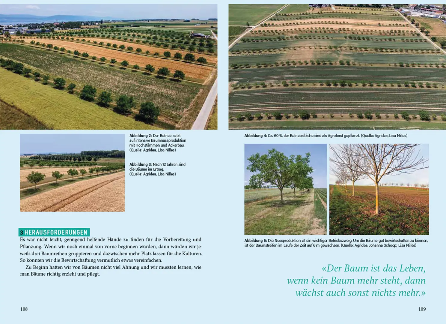 Sample Content (Image) Agroforstpraxis in der Schweiz