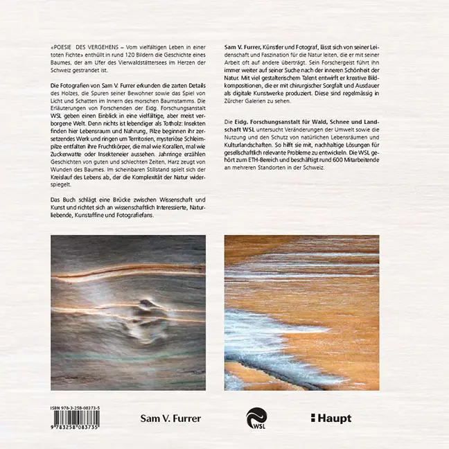 Back Cover Image Poesie des Vergehens