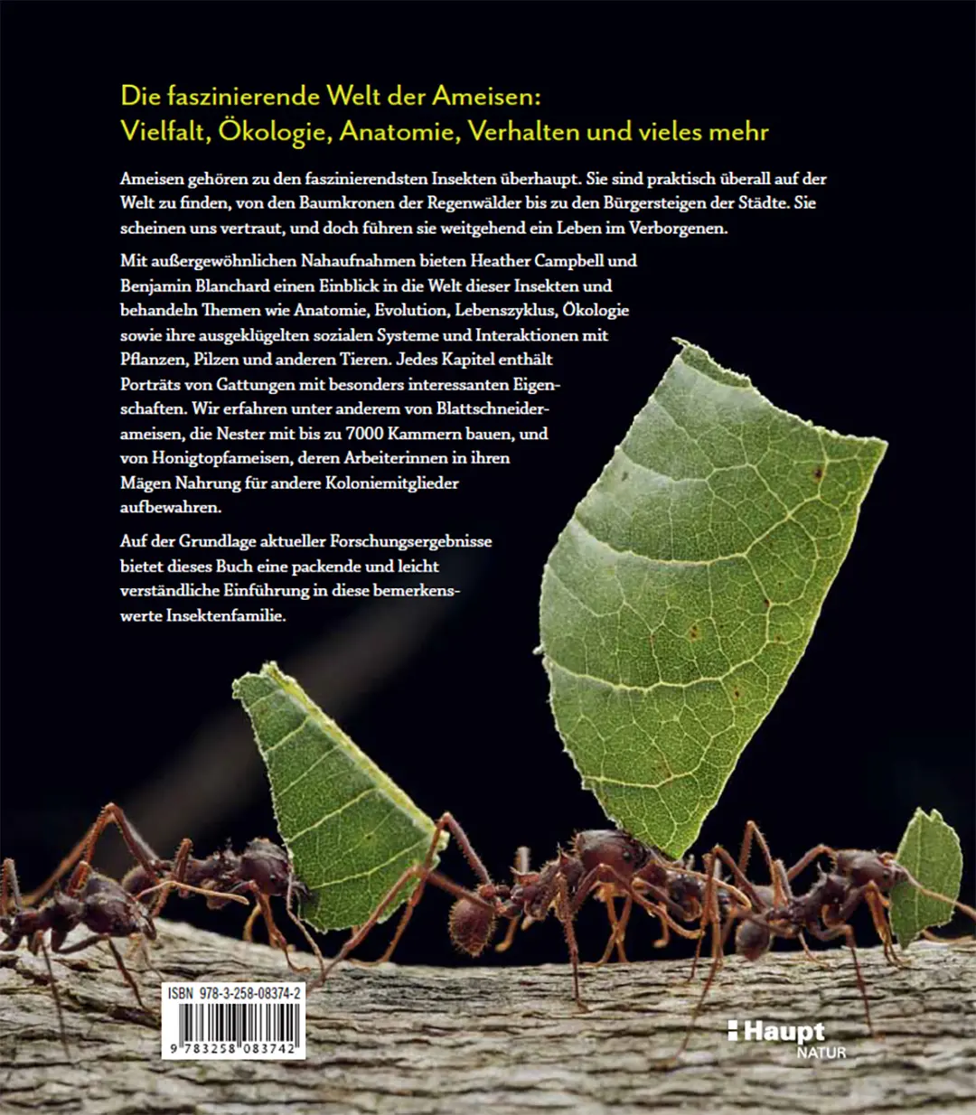 Back Cover Image Ameisen