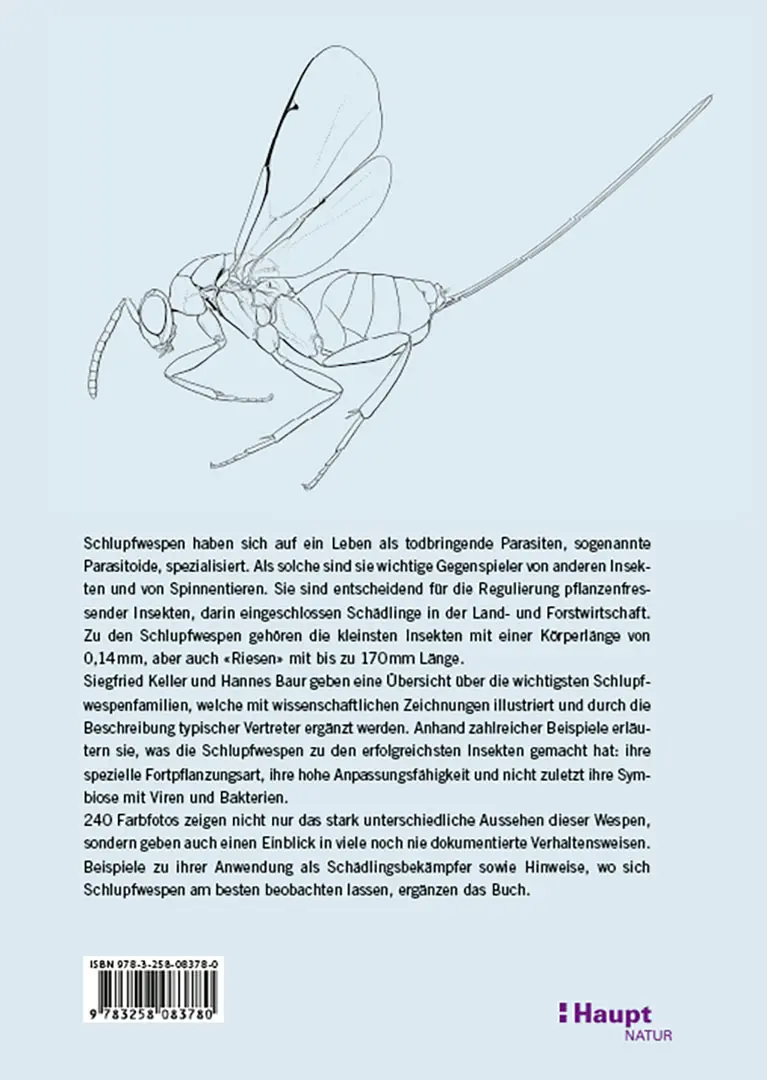 Back Cover Image Schlupfwespen