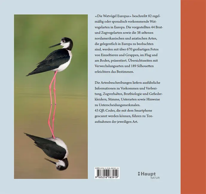 Sample Content (Image) Die Watvögel Europas