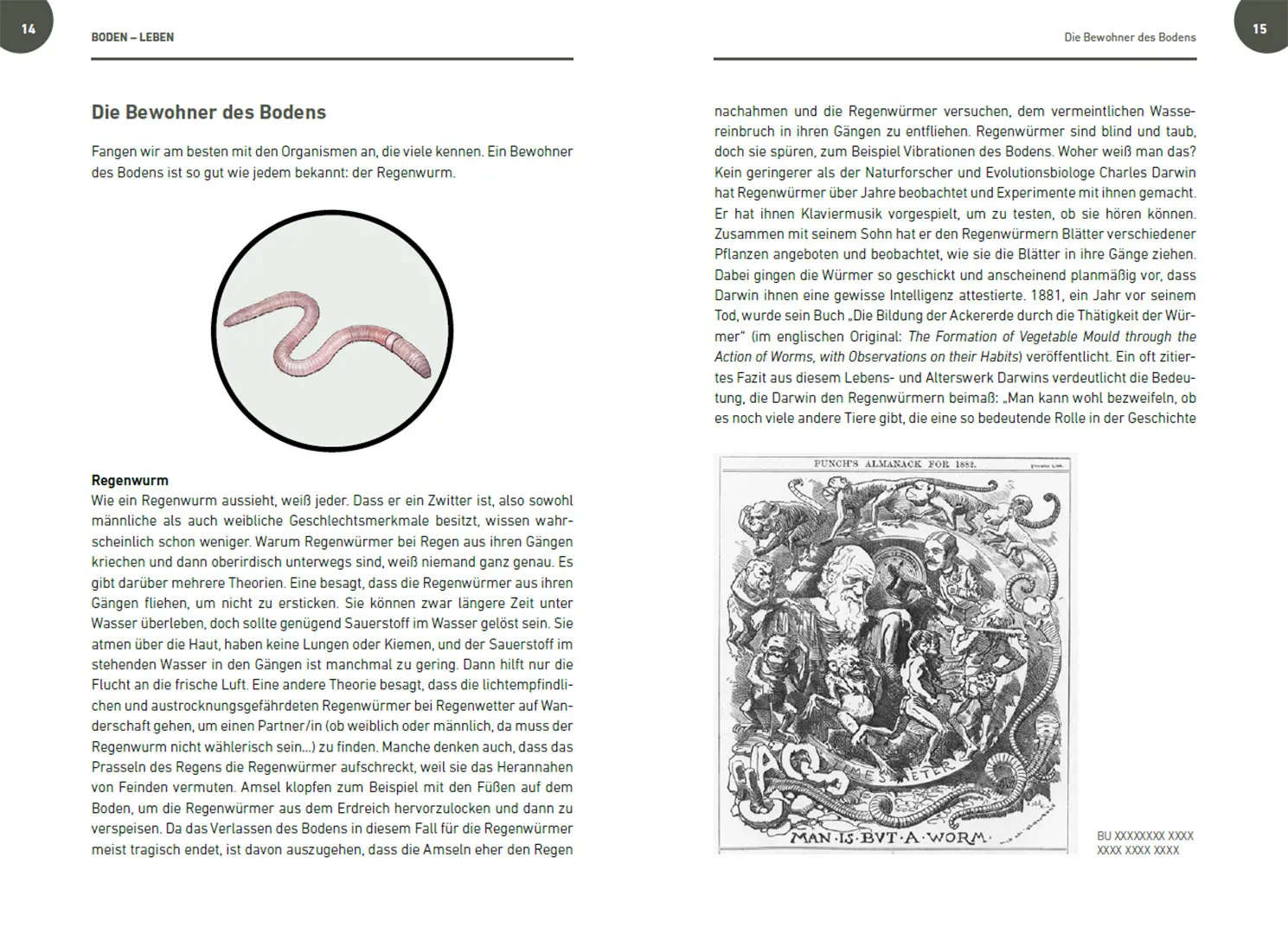Sample Content (Image) Der Boden lebt