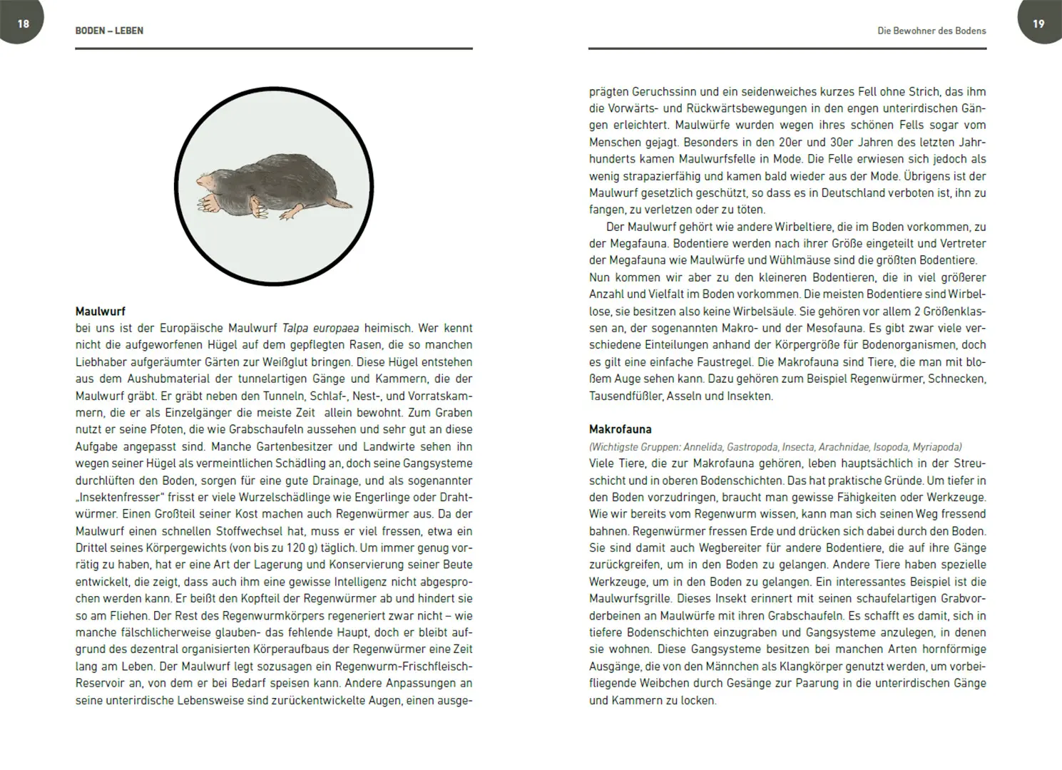 Sample Content (Image) Der Boden lebt