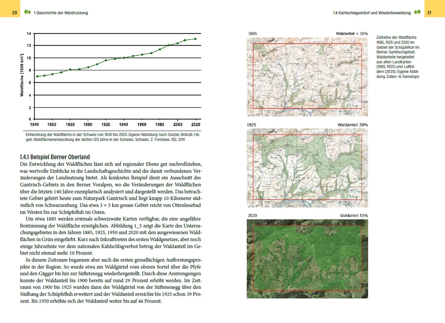 Sample Content (Image) Waldbewirtschaftung in der Schweiz