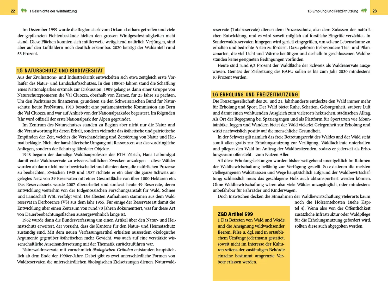 Sample Content (Image) Waldbewirtschaftung in der Schweiz