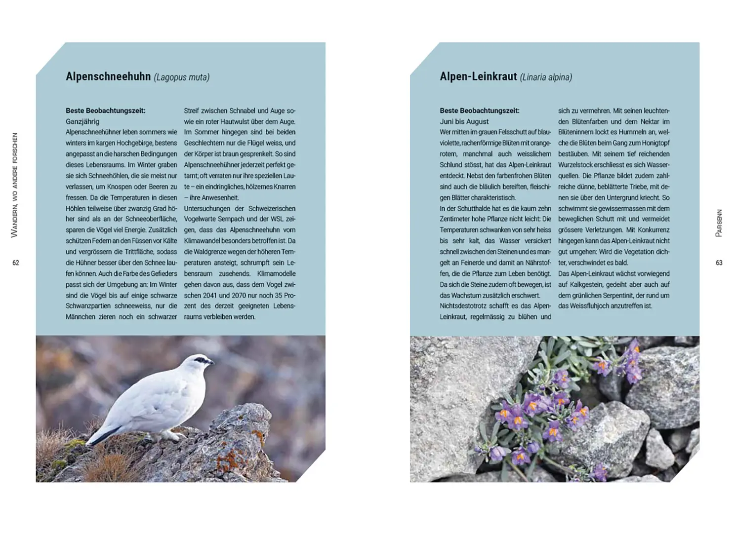 Sample Content (Image) Wandern, wo andere forschen