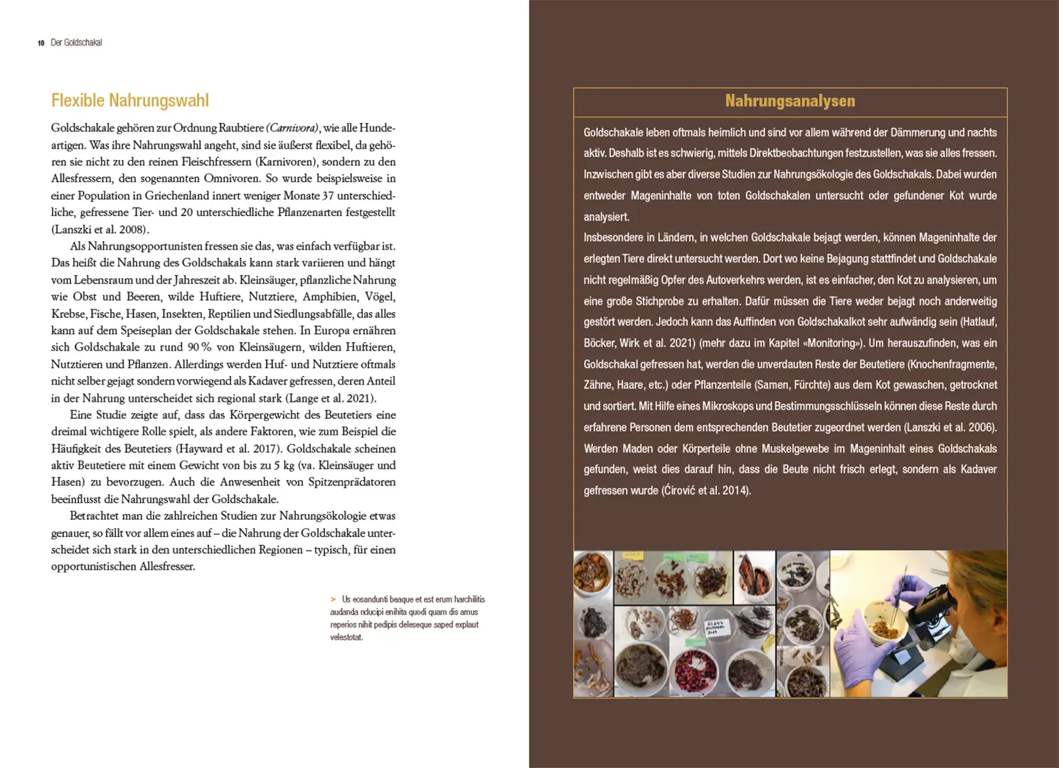 Sample Content (Image) Der Goldschakal