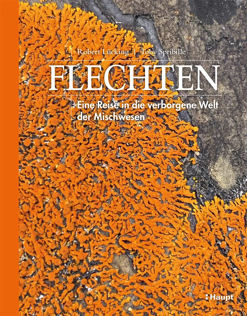 Front Cover Image Flechten