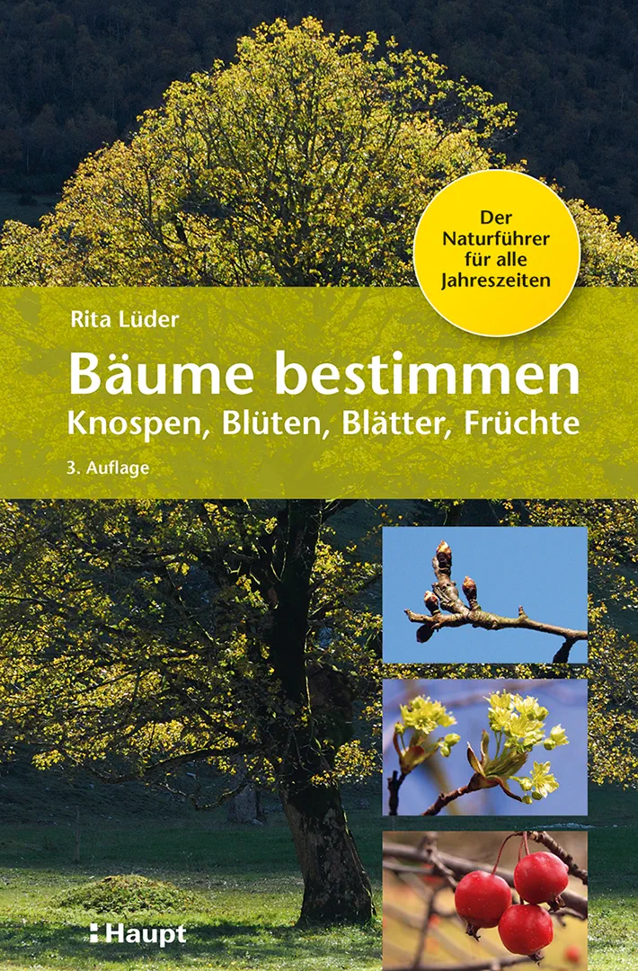 Front Cover Image Bäume bestimmen - Knospen, Blüten, Blätter, Früchte