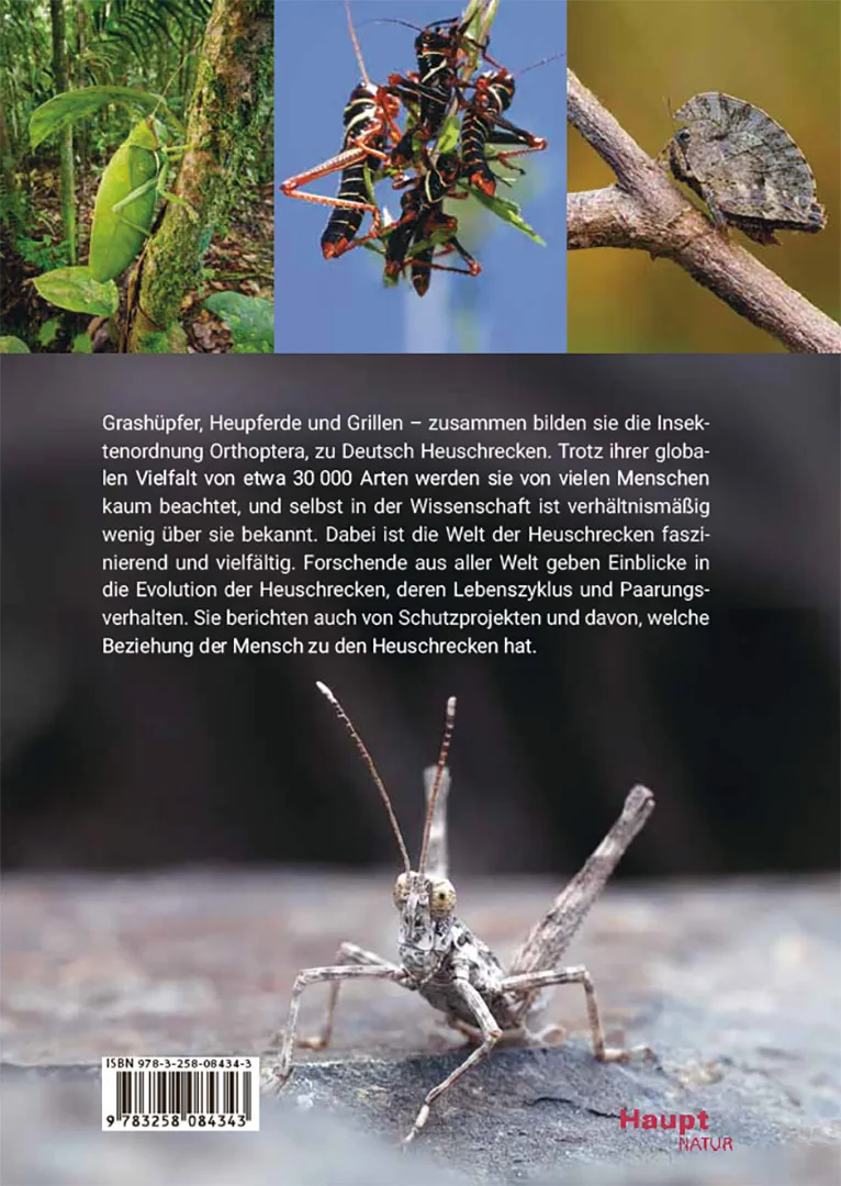 Back Cover Image Die Welt der Heuschrecken