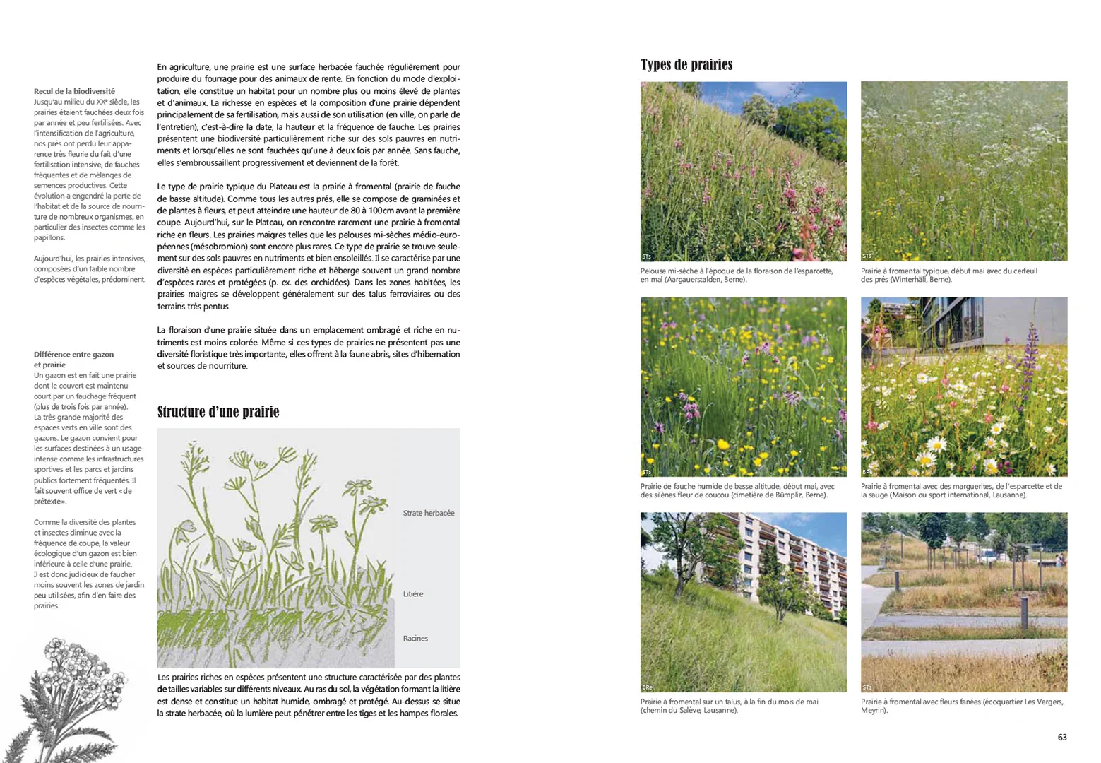 Sample Content (Image) Guide pratique de la nature en ville