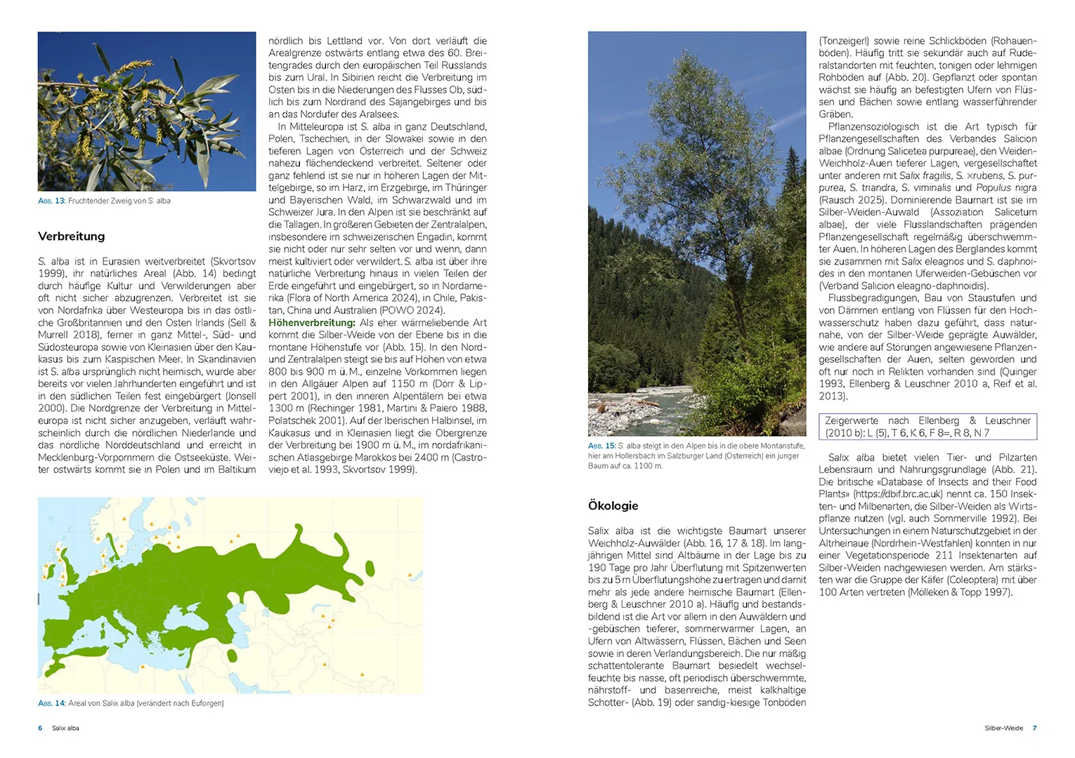 Sample Content (Image) Die Weiden Mitteleuropas