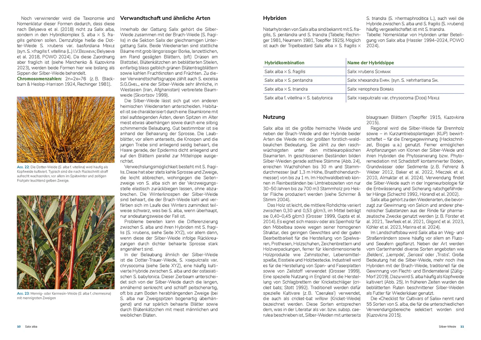 Sample Content (Image) Die Weiden Mitteleuropas