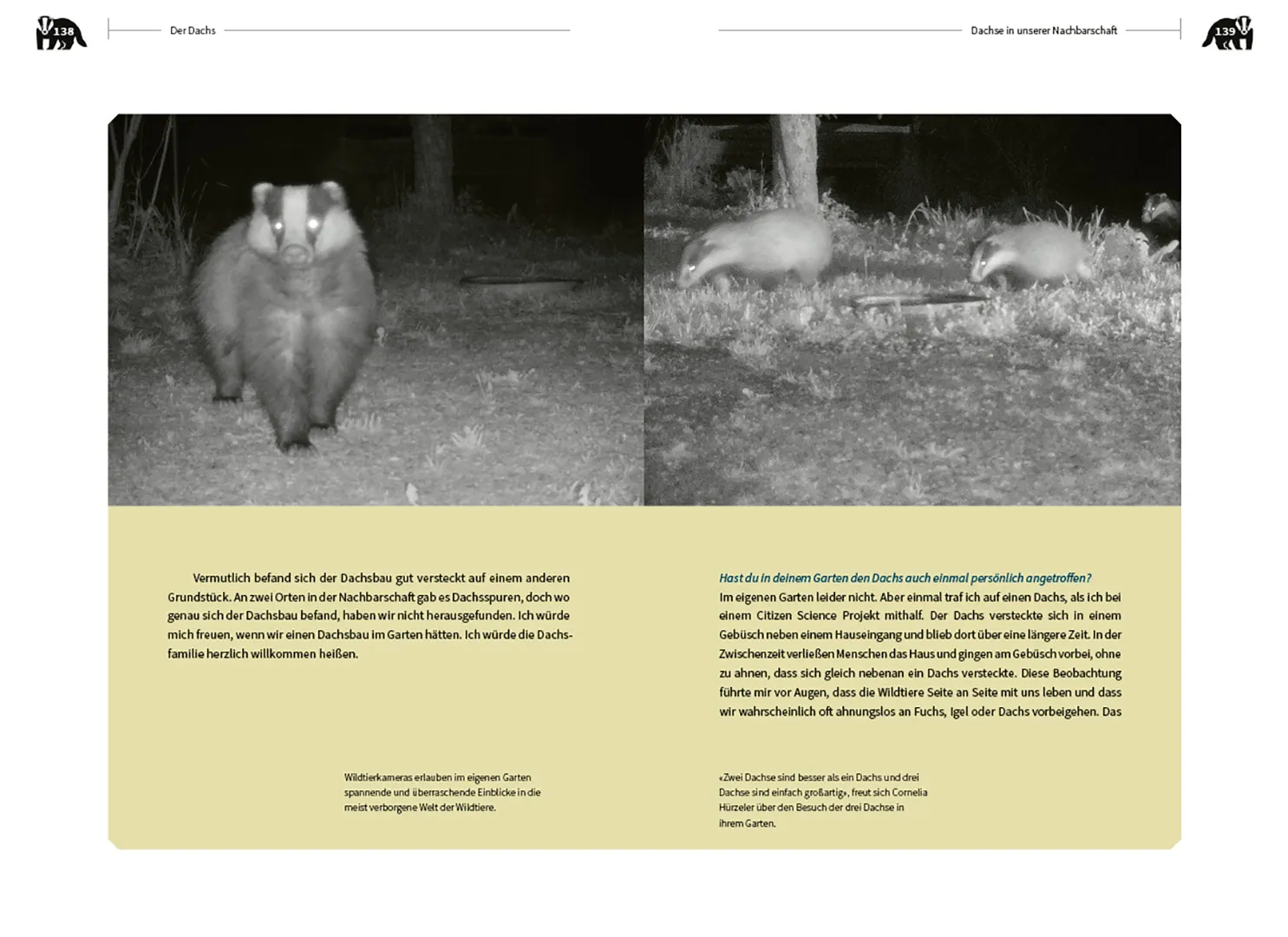 Sample Content (Image) Der Dachs