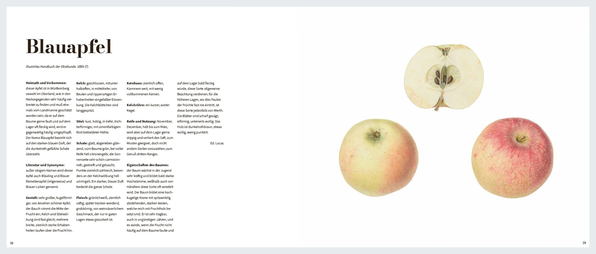 Sample Content (Image) Von edlem, süßweinartigem Zuckergeschmacke